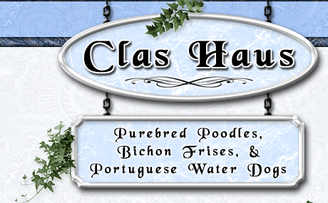 Clas Haus
